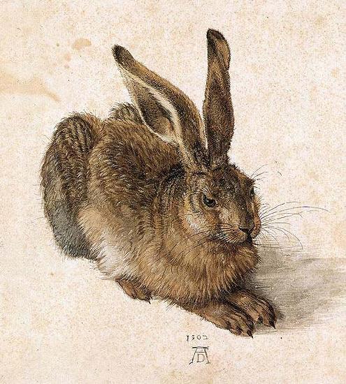 Albrecht Durer Young Hare oil painting picture